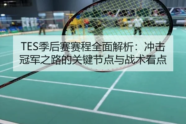 TES季后赛赛程全面解析：冲击冠军之路的关键节点与战术看点