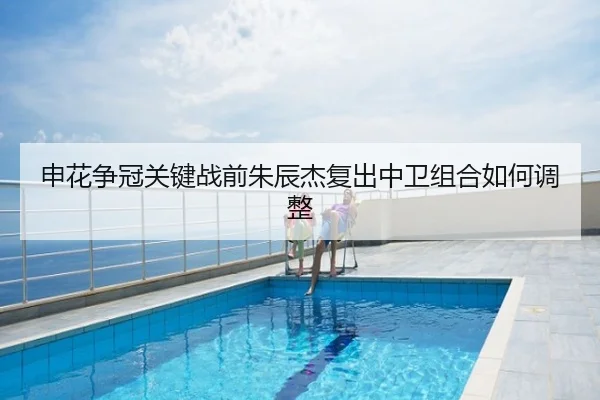 申花争冠关键战前朱辰杰复出中卫组合如何调整